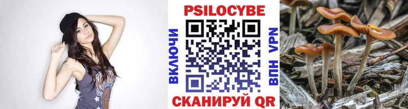 цена   Ленинск  Галлюциногенные грибы GOLDEN TEACHER 
